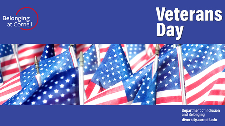Veterans Day image - American flags
